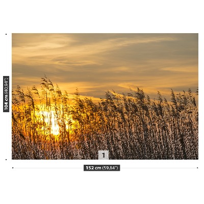 Papel de parede Reed Sun