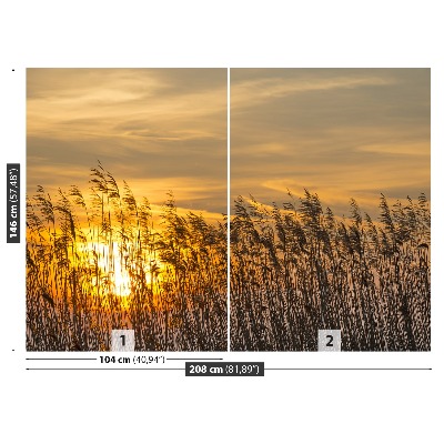 Papel de parede Reed Sun