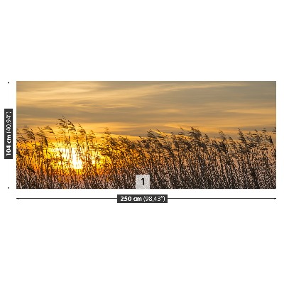 Papel de parede Reed Sun