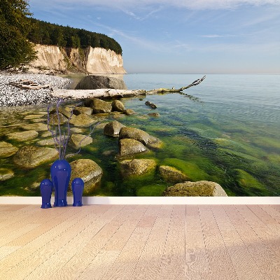 Mural de parede Baía dos Piratas