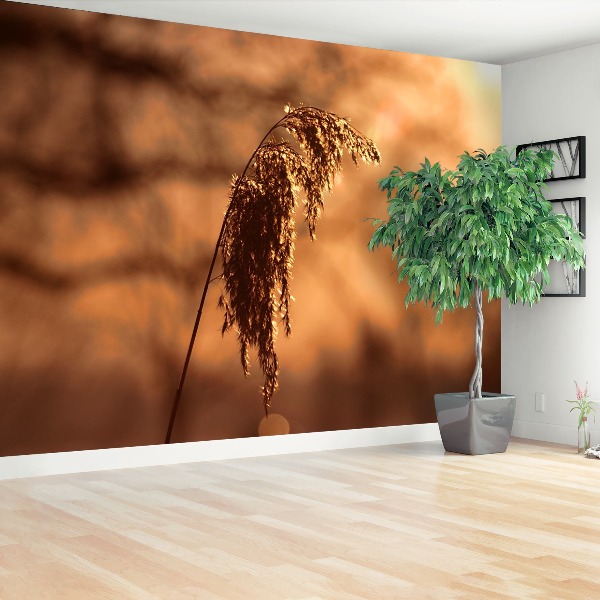 Mural de parede Capim-junco