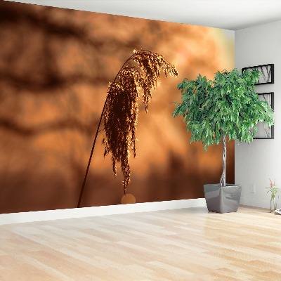 Mural de parede Capim-junco