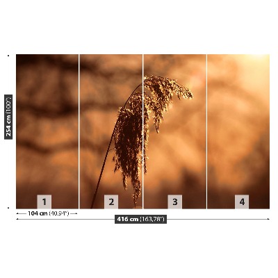 Mural de parede Capim-junco