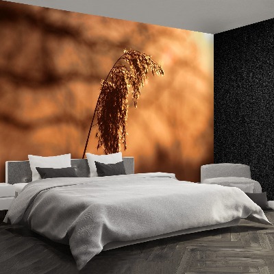 Mural de parede Capim-junco