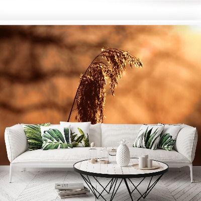 Mural de parede Capim-junco