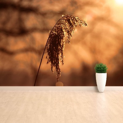 Mural de parede Capim-junco