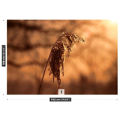 Mural de parede Capim-junco