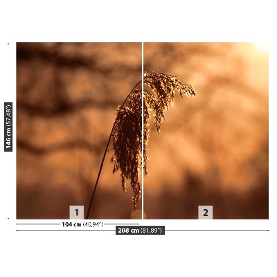 Mural de parede Capim-junco