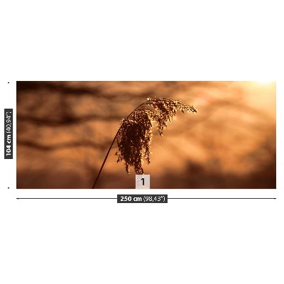 Mural de parede Capim-junco