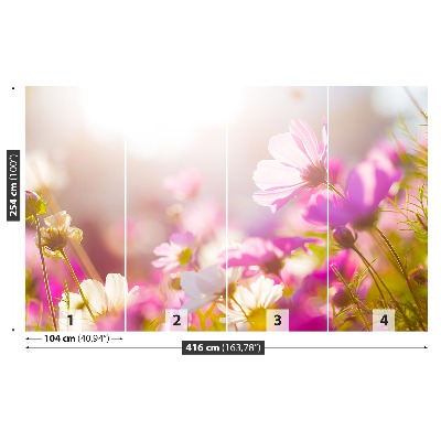 Mural de parede Margaridas Flores