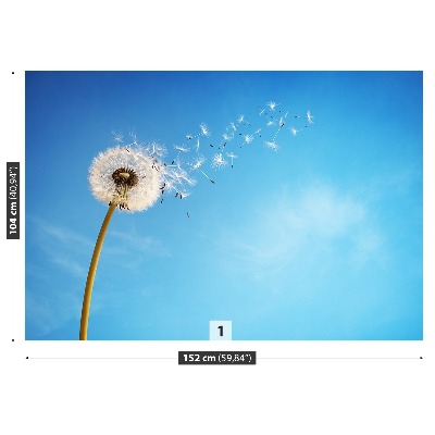 Papel de parede Dente-de-leão