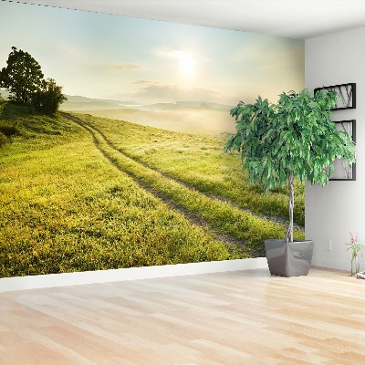 Papel de parede Prado e nascer do sol