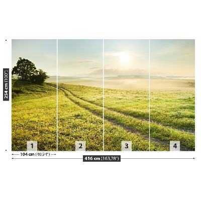 Papel de parede Prado e nascer do sol