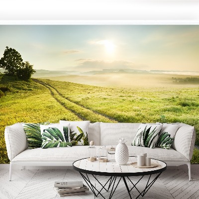 Papel de parede Prado e nascer do sol