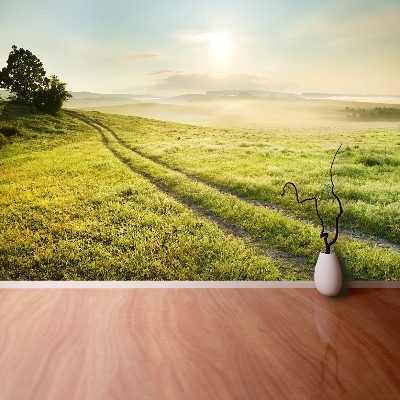 Papel de parede Prado e nascer do sol