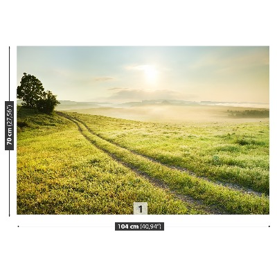 Papel de parede Prado e nascer do sol