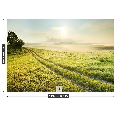 Papel de parede Prado e nascer do sol