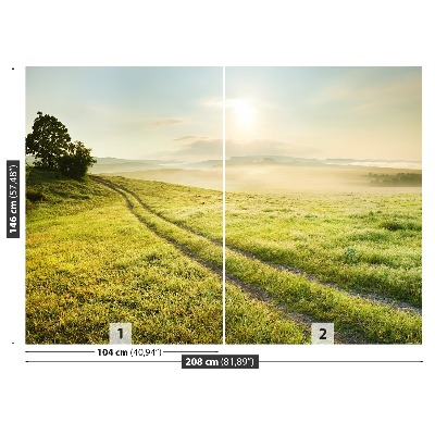 Papel de parede Prado e nascer do sol