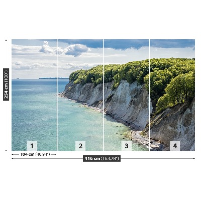 Mural de parede Penhasco de giz