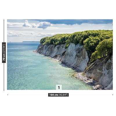 Mural de parede Penhasco de giz