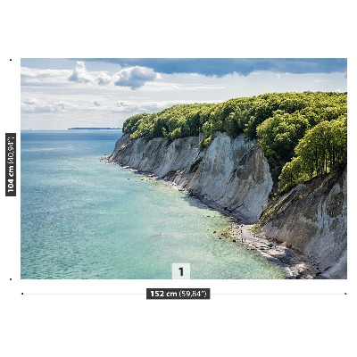 Mural de parede Penhasco de giz