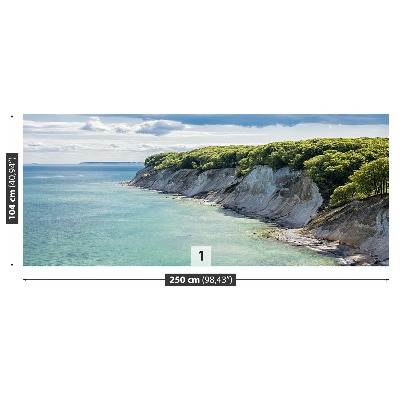 Mural de parede Penhasco de giz