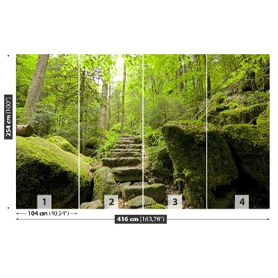 Papel de parede Trilha da floresta