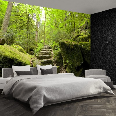 Papel de parede Trilha da floresta