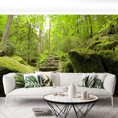 Papel de parede Trilha da floresta