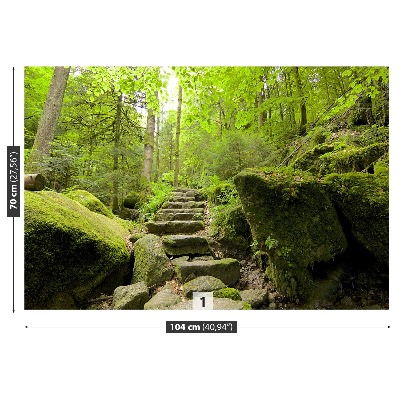 Papel de parede Trilha da floresta