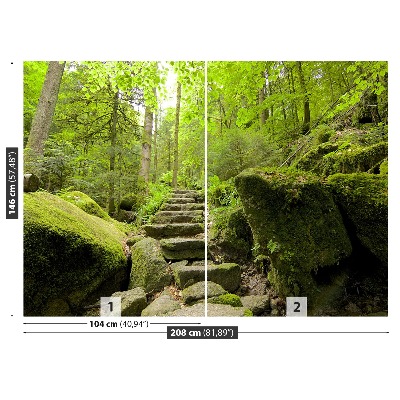 Papel de parede Trilha da floresta