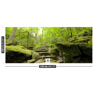 Papel de parede Trilha da floresta