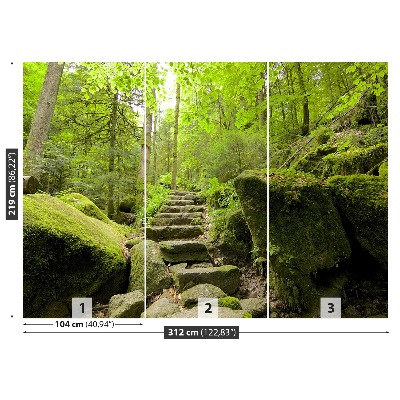 Papel de parede Trilha da floresta