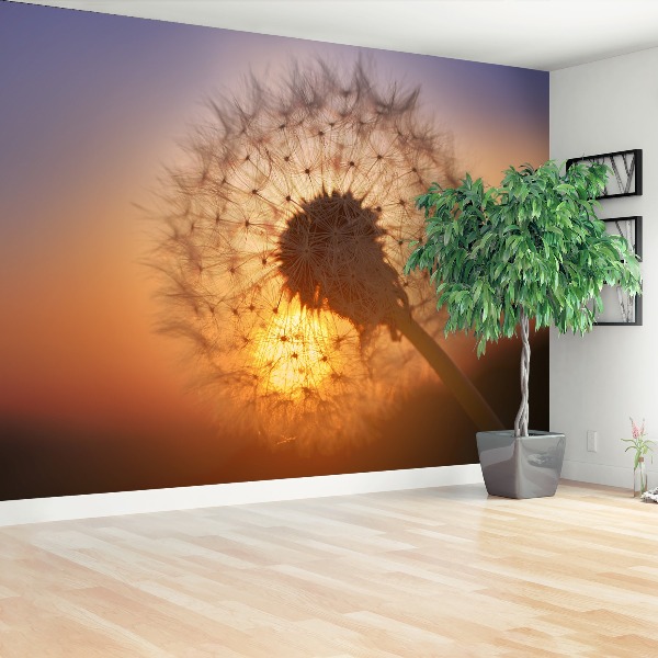 Papel de parede Dente-de-leão