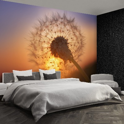 Papel de parede Dente-de-leão