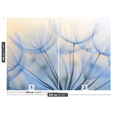 Papel de parede Dente-de-leão