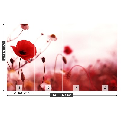 Mural de parede Campo de papoulas