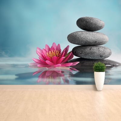 Papel de parede Nenúfar