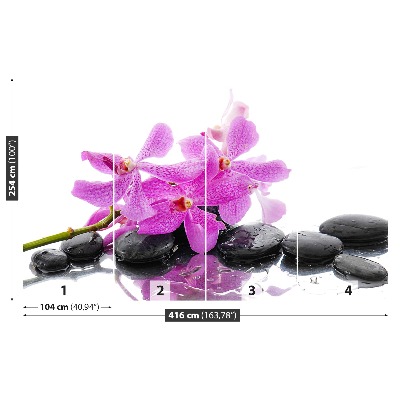 Mural de parede orquídea rosa