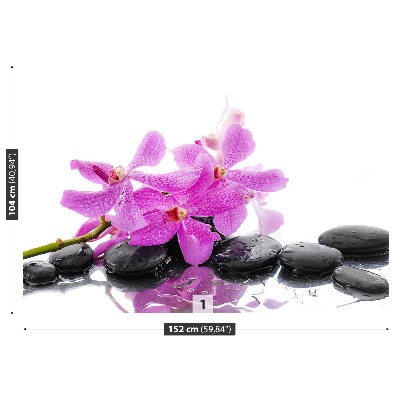 Mural de parede orquídea rosa