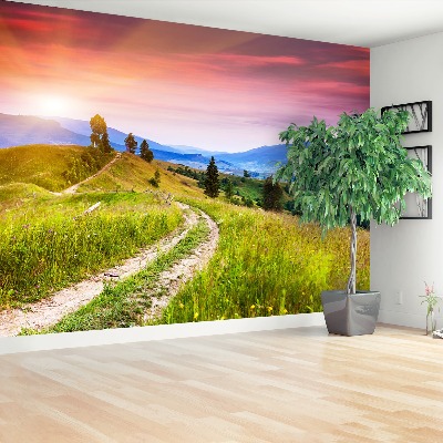 Papel de parede Colinas floridas