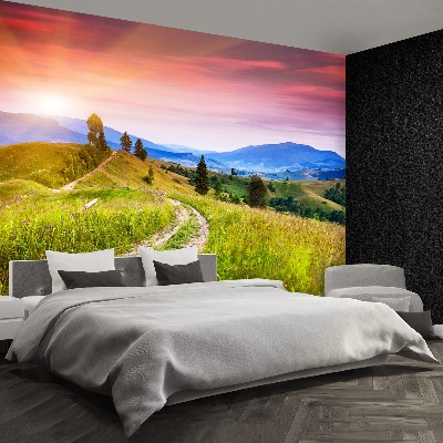 Papel de parede Colinas floridas