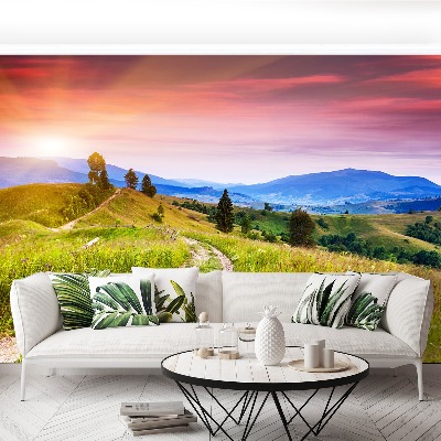 Papel de parede Colinas floridas