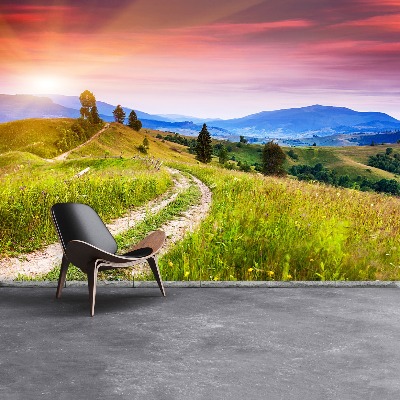 Papel de parede Colinas floridas