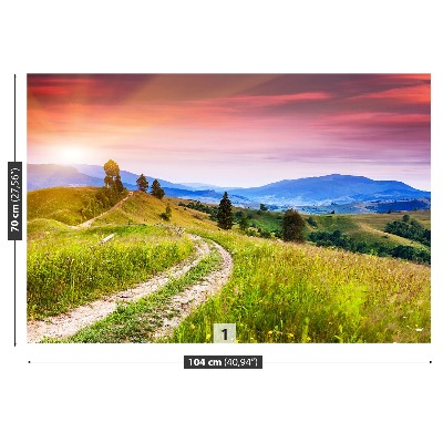 Papel de parede Colinas floridas