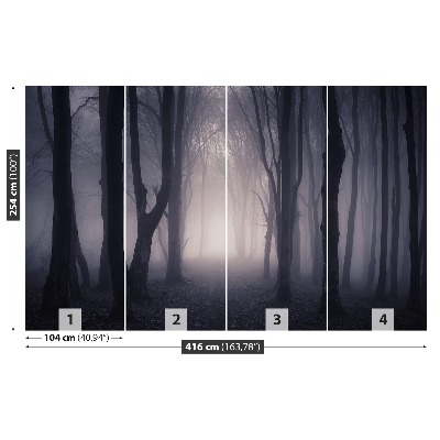 Papel de parede Floresta escura