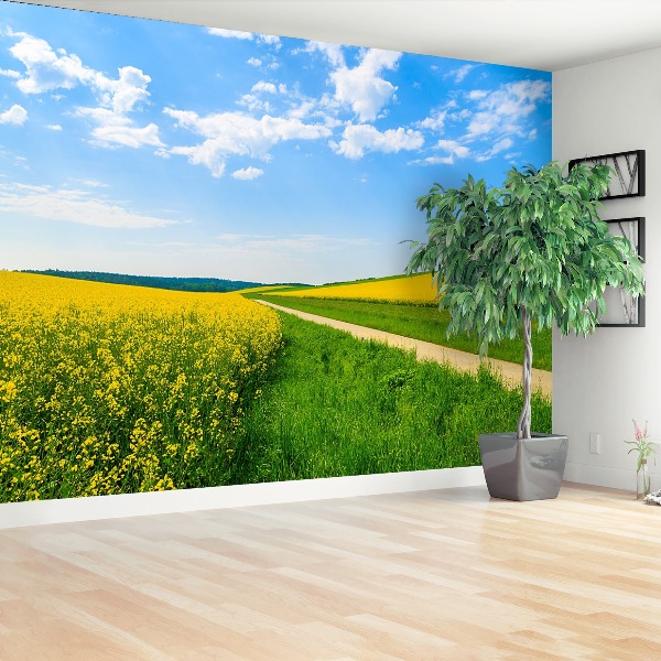 Mural de parede Campo de colza
