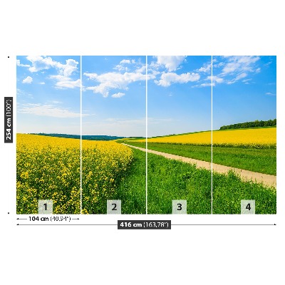 Mural de parede Campo de colza