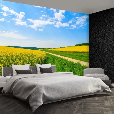 Mural de parede Campo de colza