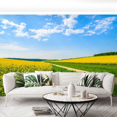 Mural de parede Campo de colza